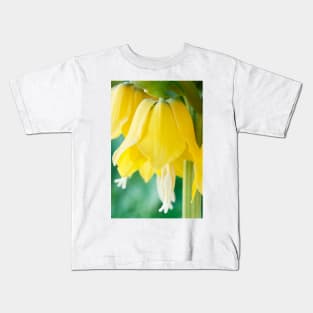 Fritillaria imperialis  &#39;Maxima Lutea&#39;  AGM  Crown imperia Kids T-Shirt